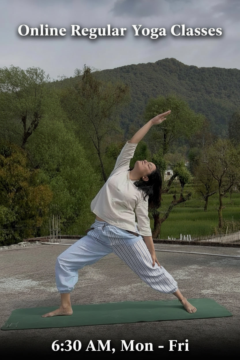 Online Regular Yoga Classes
