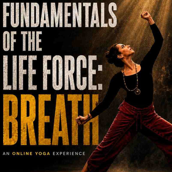 Fundamentals of Life Force- The Breath